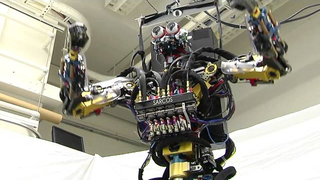 This bug-eyed robot just wants to move like people do